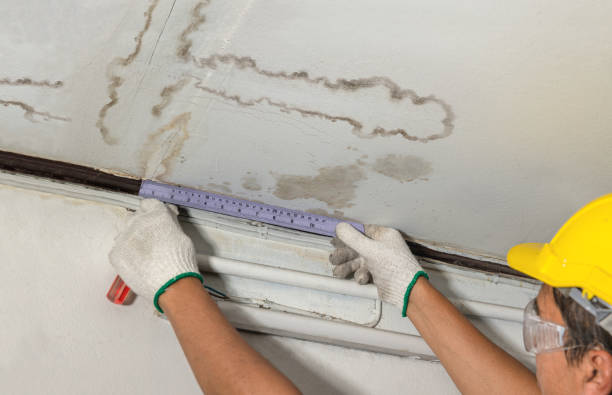 Reliable Mold Remediation contractor in Spencer, WV by Water Damage Irwin